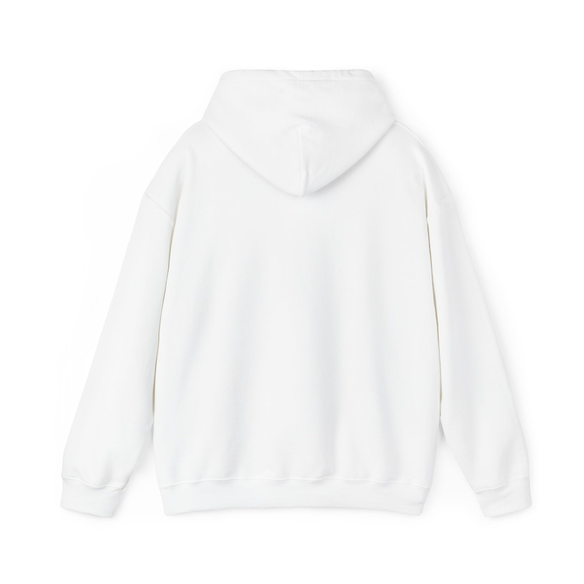 Van Crazy - Dodge A108 1968 - Hooded Sweatshirt