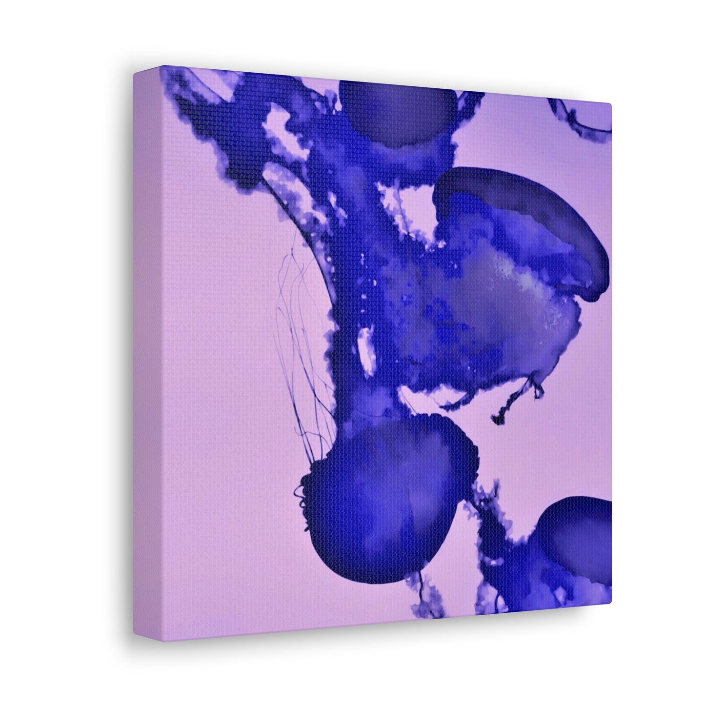 Jellyfish Canvas Gallery Wrap