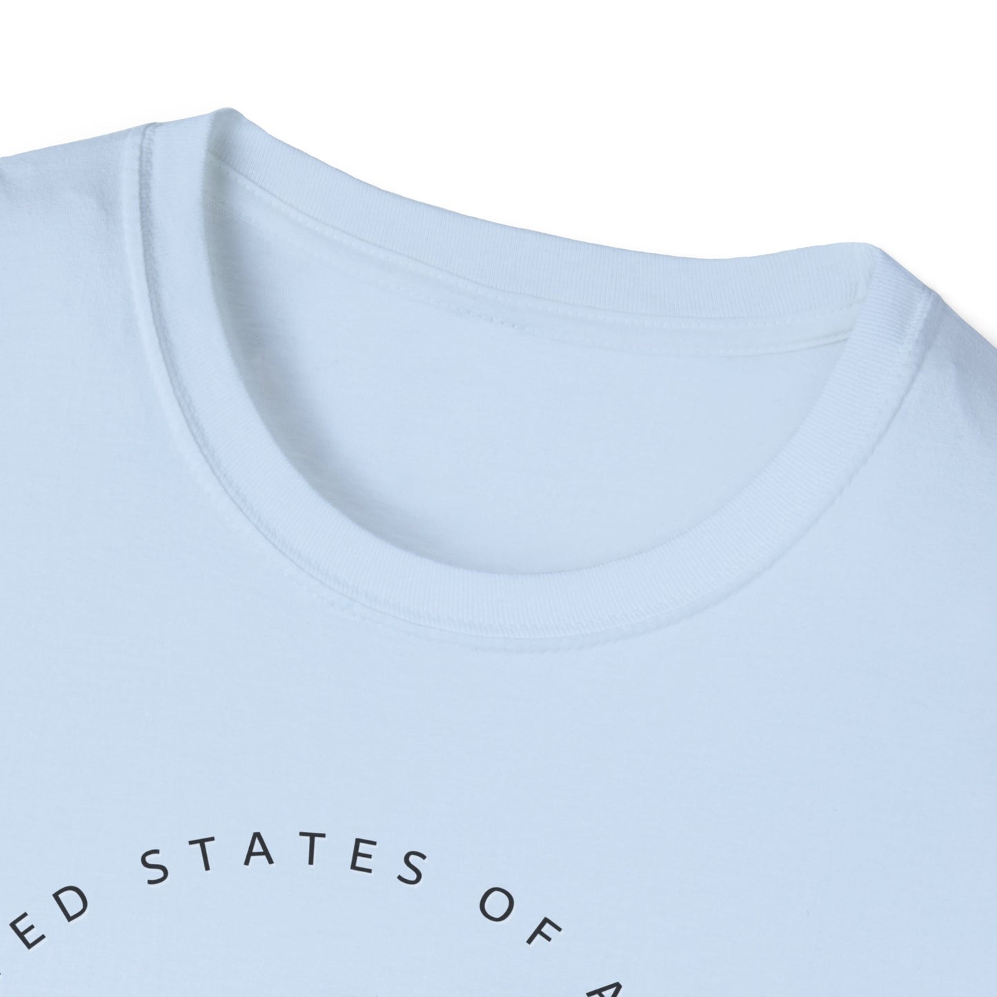 America, Land of the Free Unisex Softstyle T-Shirt | Patriotic Tee