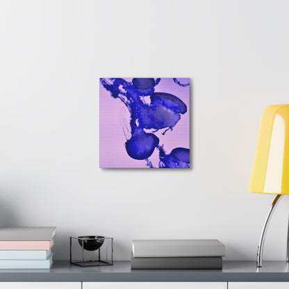 Jellyfish Canvas Gallery Wrap