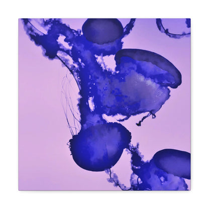 Jellyfish Canvas Gallery Wrap