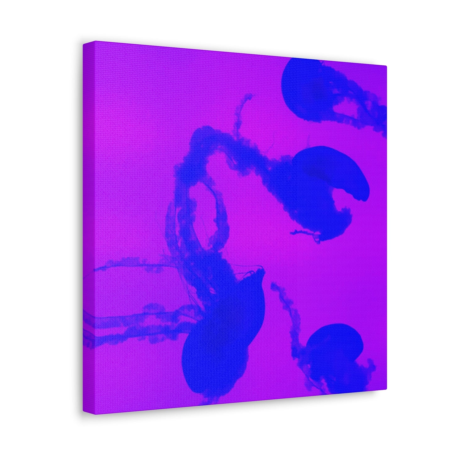 Jellyfish Canvas Gallery Wrap